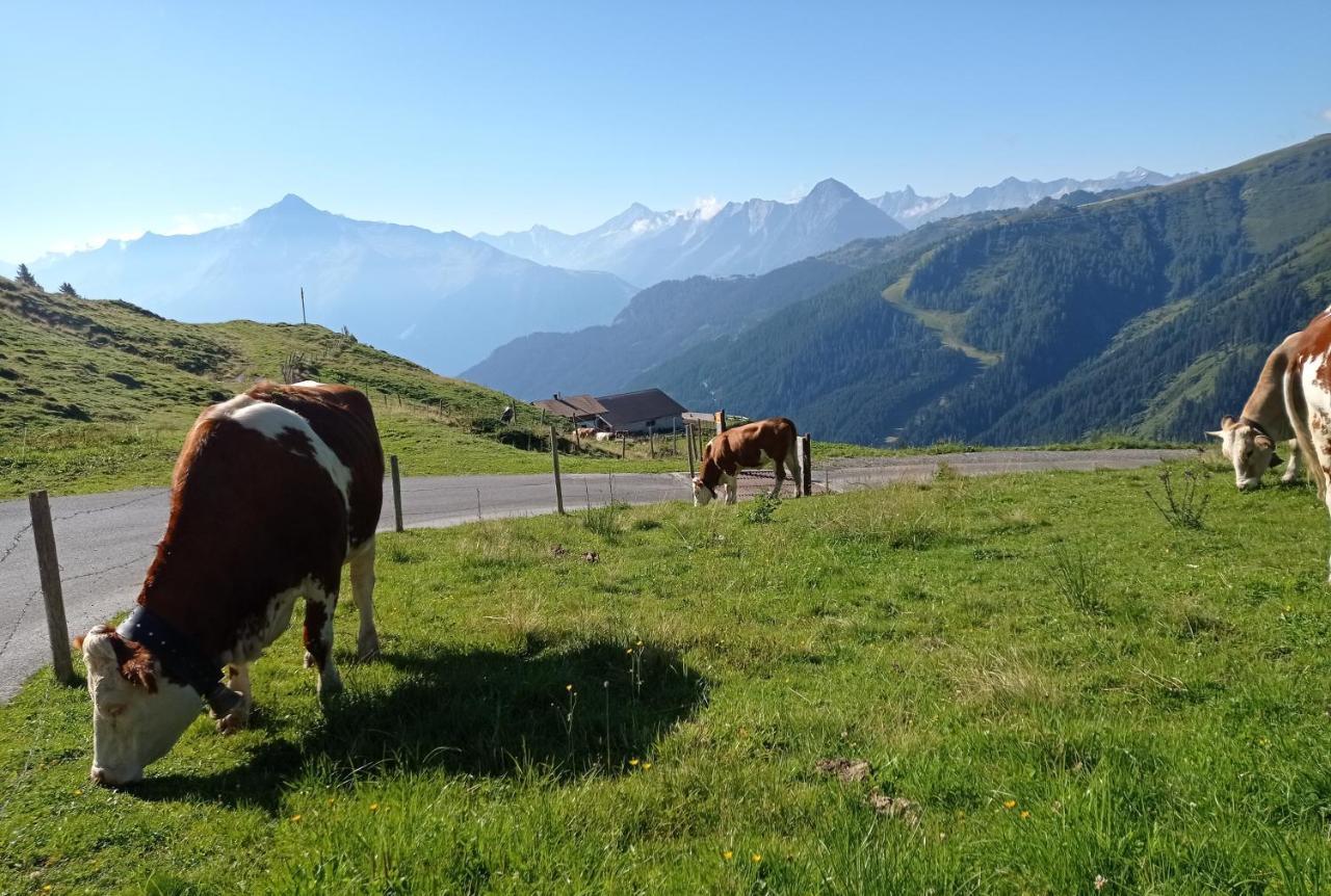 Apart Anna Mayrhofen Exterior foto
